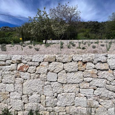 Votre Expert en Maçonnerie Paysagère et Murs en Pierre au Muy 83490 en F6rance